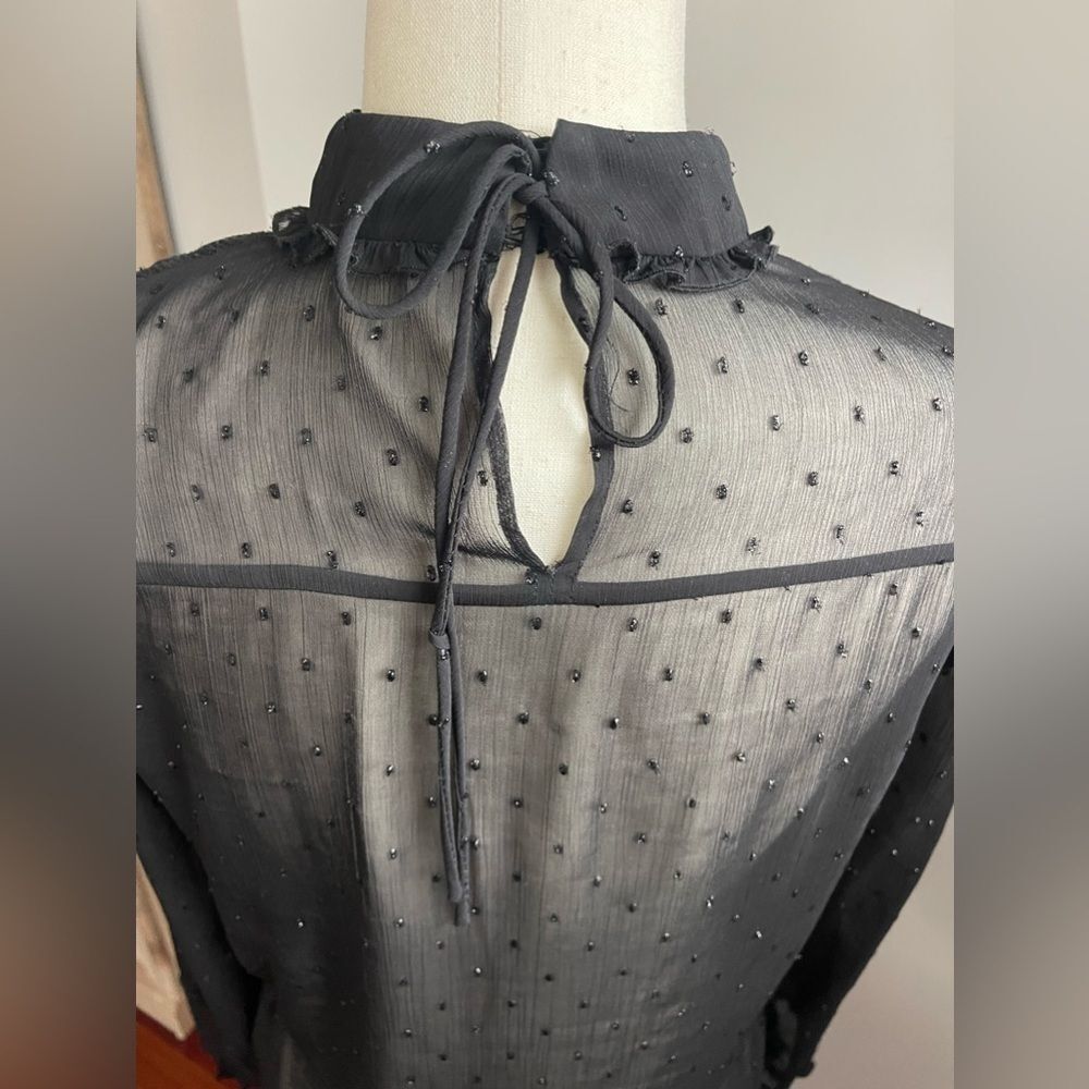 Zara Black Semi Sheer Blouse - Picture 7 of 10